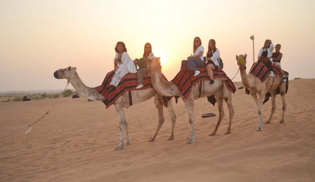camel ride dubai