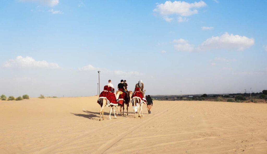 MORNING DESERT SAFARI