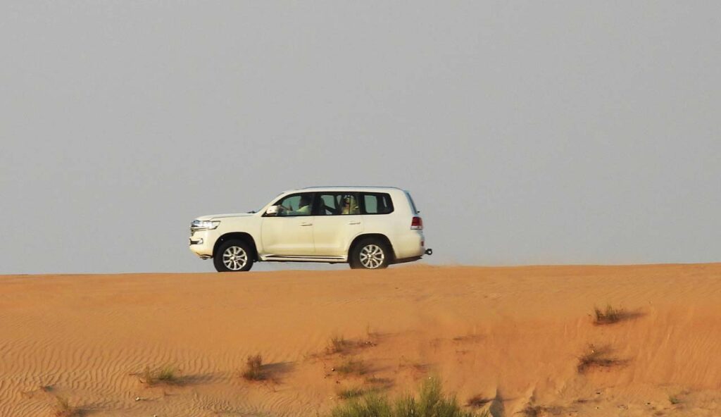 EVENING DESERT SAFARI