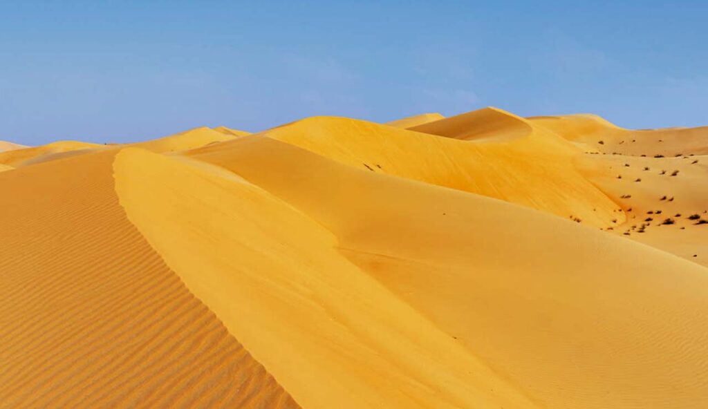 Liwa Desert Safari