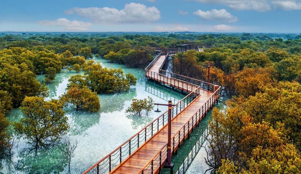 Mangrove National Park