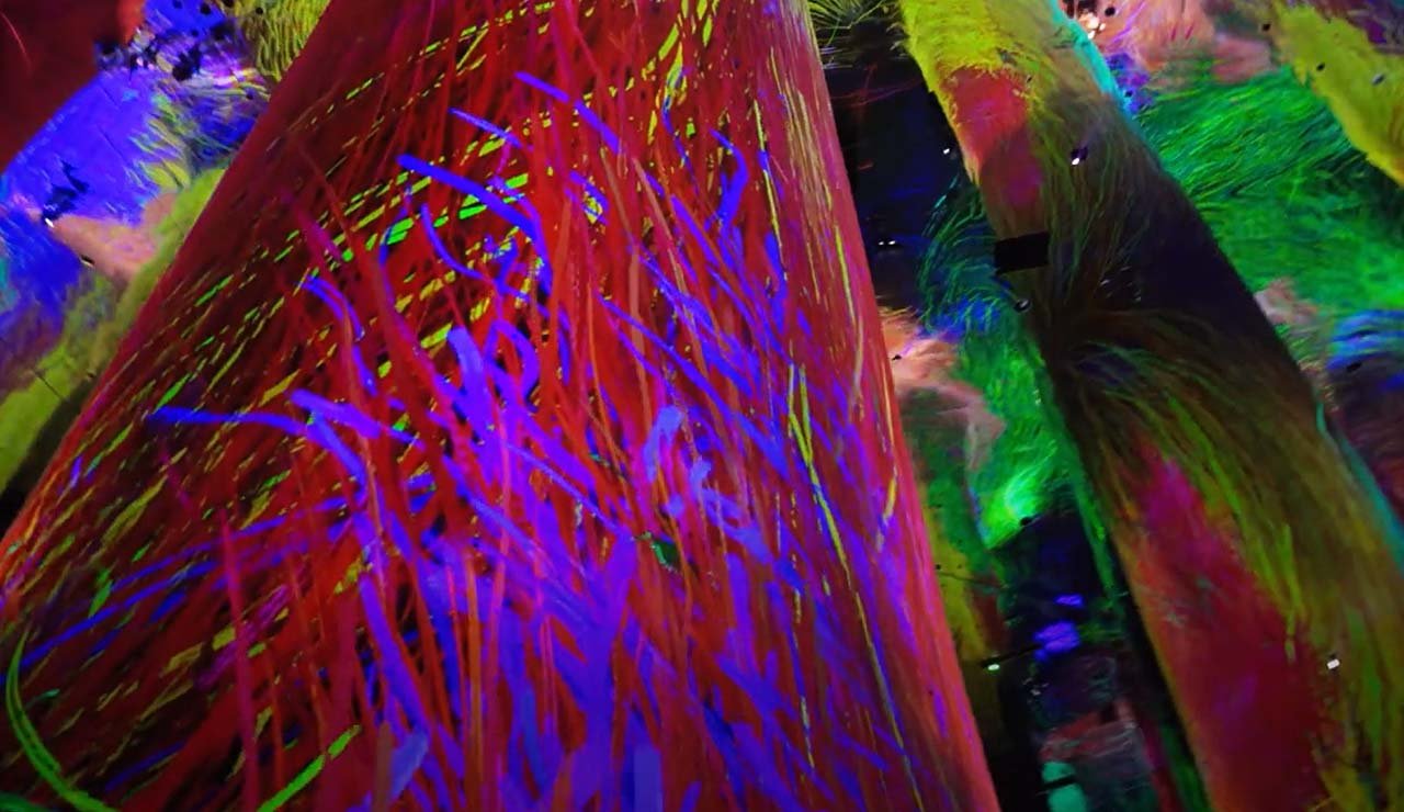 teamLab Phenomena immersive installation
